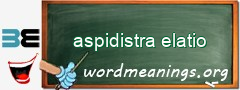 WordMeaning blackboard for aspidistra elatio